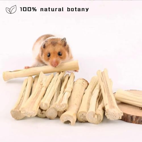 2lb Sweet Bamboo Chew Sticks for Rabbits & Guinea Pigs - Natural Molar Teething Treats, 60-75 Sticks, Dental Grinding Toys for Hamsters, Chinchillas, Rats & Small Animals - size: 2 Pound (Pack of 1)