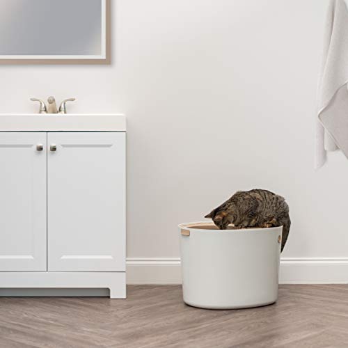 IRIS USA Large Top Entry Cat Litter Box, Hooded Privacy, Beige/White | Multi-Cat Households, Enclosed Top Access, Protected Interior, Mess Containment System, Odor Trapping, Reduced Tracking - color: White/Beige, style: Top Entry