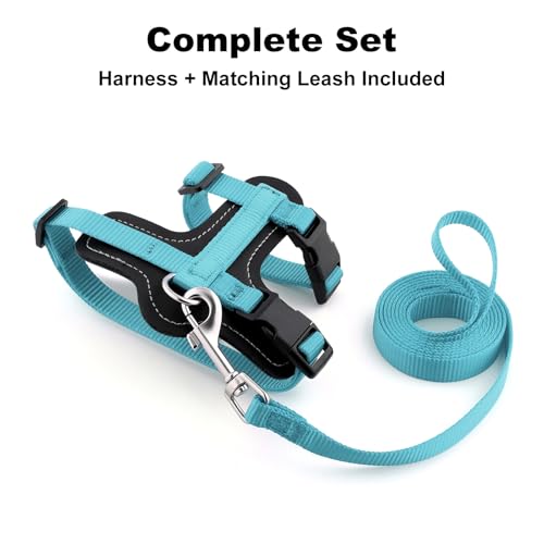 Plutus Pet Adjustable Cat Harness and Leash Set, with Leather Trim | Quick Release, Escape Proof Nylon Vest, for Kitten Small Medium Large Cats, Light Blue - color: Light Blue