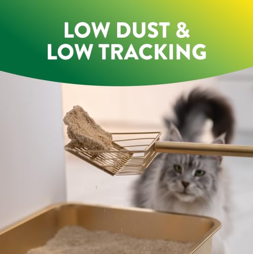 ARM & Hammer Plant Power Plant-Based Clumping Cat Litter, Unscented 15 Lbs | Lightweight, Multi-Cat Homes, Highly Absorbent Natural Grain Formula, 14-Day Odor Control