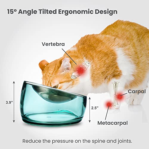 Felli Oblik Elevated Cat Bowl Removable Stainless Steel Wide Dish for Dry Wet Food Feeding & Dishwasher Clean, Slanted Whisker Fatigue Friendly Metal Plate (Classic, 0.5 Cups Shallow Dish) - color: Classic, size: 0.5 Cups Shallow Dish