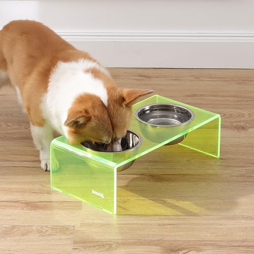 DBL2000G Keaton 5" Small/Medium Modern Acrylic Rectangular Elevated Pet Feeder with 20oz 2-Stainless Steel Bowls, Green/Chrome - color: Green/Chrome, size: 20 Ounces (5" Cups 2-Pack)