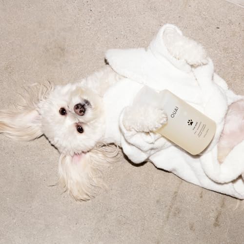 OUAI Fur Bébé Pet Shampoo - Mercer Street Scent (16 Fl oz) | Cat & Dog Shampoo for Gentle Cleansing, Hydration & Shine - Vegan & Cruelty-Free Pet Supplies with Aloe Vera & Panthenol