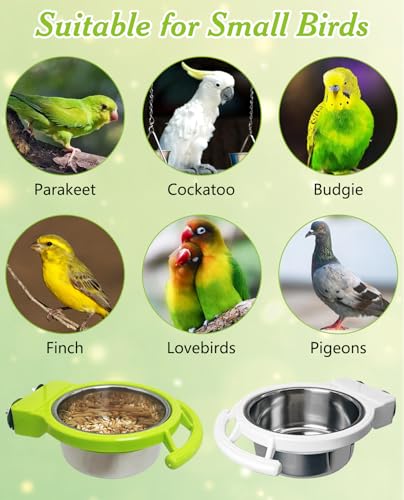BNOSDM 2 PCS Bird Feeding Dish Cups with Perch Stand Hanging Stainless Steel Bird Bowls Food Container Food and Water Bowls with Spoon for Budgie Cockatoo Finch Lovebirds Pigeons (Green&White) - color: 2 Pcs Green & White
