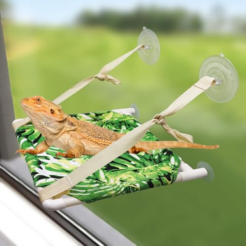 Bearded Dragon Window Perch, Lizard Window Hammock, Reptile Bed, Lizard Window Hammock, Reptile Tank Accessories, Suitable for Lizard Bearded Dragon Chameleon Kitten Guinea Pig Rat 12 × 11 Inches