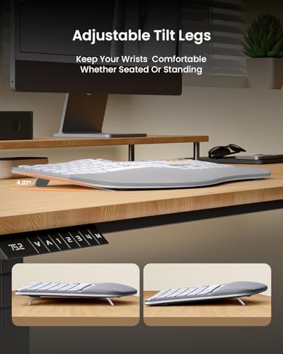 ProtoArc EKM01 Plus Wireless Ergonomic Keyboard Mouse Combo - White Silver | Full-size Split Keyboard with Cushioned Wrist Rest, Ergonomic Mouse, 3-Device Bluetooth/2.4G, USB-C Rechargeable - color: White Silver
