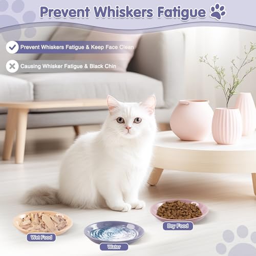 6 Pack Cat Food Bowl, Ceramic Cat Bowls, Anti Whisker Fatigue Cats Bowl Set | 5.5 Inches Shallow Wide Kitten Plates for Food and Water (CaiSe-A) - color: CaiSe-A