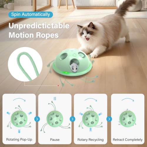 Pawingcat Cat Toys for Bored Indoor Cats Interactive String and Mouse | Hide and Seek,Cat Puzzle Toy,Automatic String,Running Plush Mouse,Cat Gifts