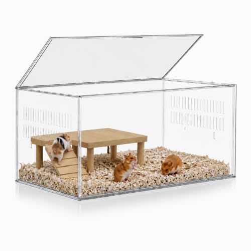 STILLCOVE Transparent Hamster Cage with Platform: 2-Tier Small Animal Cage | Wooden Platform & Ramp, Clear PET Guinea Pig House, Rat Enclosure, Mouse Tank, Pet Habitat for Hedgehog Gerbil Rodent