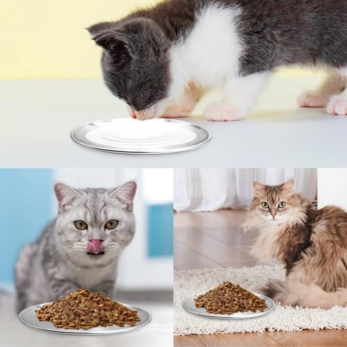 Fhiny 12-Piece Stainless Steel Cat Dish Set, 5.5" Wide, Shallow Kitten Feeding Plate, Basic Small Pet Bowl, Metal Flat Dish for Stray Cats & Dogs