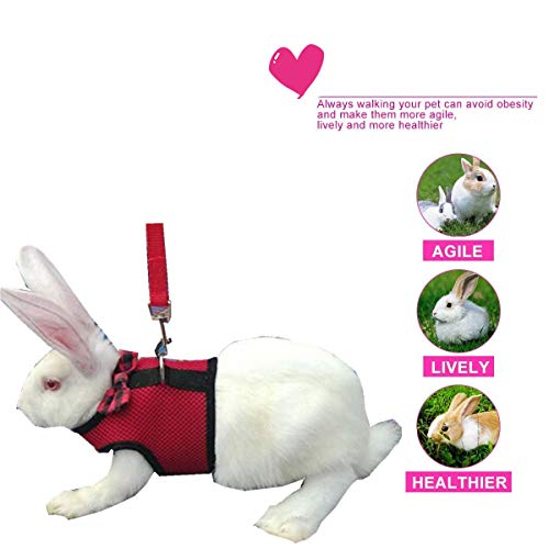 Rabbit Harness with Leash Adjustable Soft Mesh Vest Harness for Bunny Kitten Guinea Pig Rat (S, Red) - color: Red, size: S
