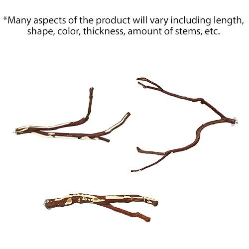 Exotic Nutrition Manzanita Branch 17" x 1/2" (Medium) - Durable Natural Cage Accessory - for Sugar Gliders, Marmosets, Squirrels, Birds, Parrots, Degus, Chinchillas & Other Small Animals