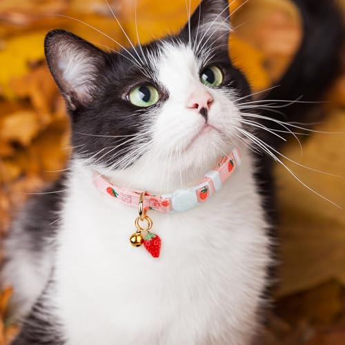 2 Pack Cotton Cat Collar Pink Strawberrie White Heart Cute Kitten Collar | Breakaway Breathable Soft material With cute pendants with Bell - color: Pink&White