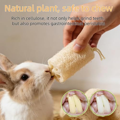 6Pcs Rabbit Chew Toys Loofah Guinea Pig Treats Bunny Enrichment Toys | Natural,with Rope,for Chinchillas Guinea Pig,Rabbit Toys for Bunnies Boredom,rabbit chew toys for teeth,bunny chew toys - size: 6PCS With a Rope