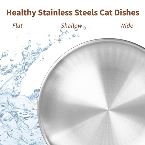 Fhiny 12-Piece Stainless Steel Cat Dish Set, 5.5" Wide, Shallow Kitten Feeding Plate, Basic Small Pet Bowl, Metal Flat Dish for Stray Cats & Dogs