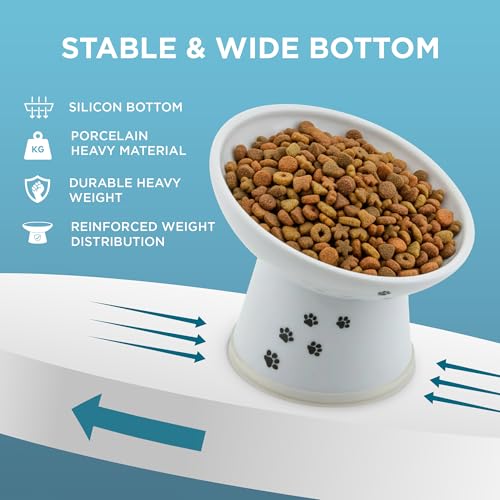 Necoichi Ceramic Elevated Cat Food Bowl, 15° Tilted (Cat, Regular Tilted) - color: Cat, size: Regular Tilted