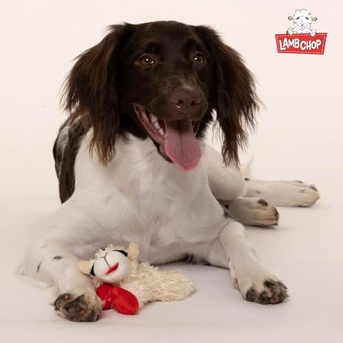 Multipet Lamb Chop Dog Plush Toy-Squeaky Toy for All Dogs - Extra Soft Plush - Stuffed Animal Dog Toy for Cuddling & Playing - Cute Pet-Toy (6", Cream) (Pack of 2) - size: 6" (Pack of 2), style: White