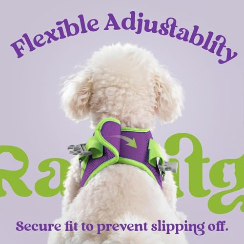 rabbitgoo Dog Harness Small Sized and Leash Set, Step in Soft Vest | Breathable Mesh, Easy Wear with Hook & Loop, Light and Reflective for Walking, Multi-colored, Purple & Green, XXS - color: Purple & Green, size: XXS (Chest: 12.4"-14.2")