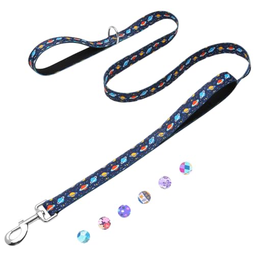 5FT 1IN Double Handle Dog Leash for Medium Large Dogs, Blue Space | Heavy Duty Nylon Webbing, Two Soft Padded Handles, Durable Dog Leash with Traffic Handle for Walking, Training - color: Blue Space, size: 1 in x 5 ft