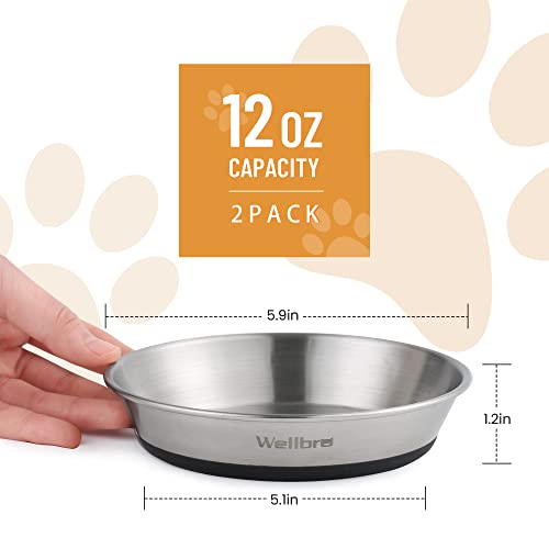 Cat Bowls, 6 Pcs Stainless Steel Bowls for Food and Water, Whisker Fatigue Shallow Non-Slip Cat Dishes Plates for Small Dog Puppies Cats - color: 6 Non-slip Bowls