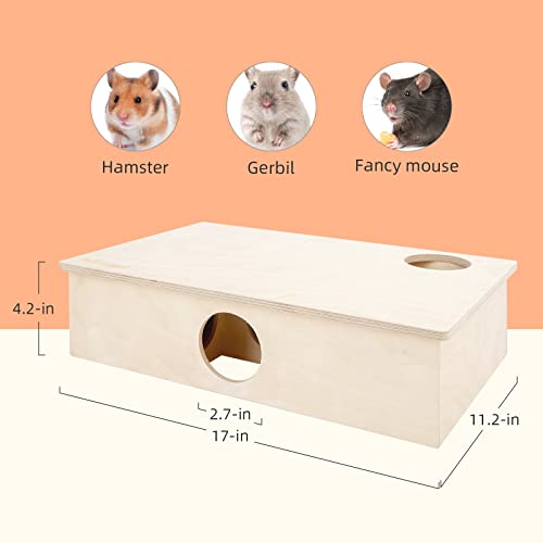 Niteangel Multi-Chamber Hamster House Maze: 2 Entrance 6 Rooms Maze Habitat | No-Disturb Removable Lid - Encourage Pets Hide and Explore Freely Hideout & Tunnel Maze Toys for Hamster Gerbils Mice Lemming - size: 6-Room Large