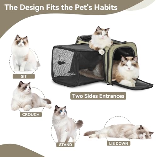 Petsfit 19"X12" X12" Expandable Pet Carrier, Square Expansion Reduces Pet Anxiety, Escape-Proof Self-Locking Zippers, 3 Easy-Access Entrances, for Cats & Small Dogs up to 18 lbs - color: Green, size: 19.0"L x 12.0"W x 12.0"H