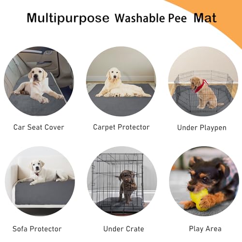 LOOBANI Washable Pee Pads for Dogs, 2 Pack Non-Slip and Leak-Proof,48"x60" | Super Absorbent Reusable Dog Pee Pads, Machine Washable, Extra Large for Whelping, Crate, Playpen, Floor, Housebreaking - size: 48"*60"(Pack of 2) Gray