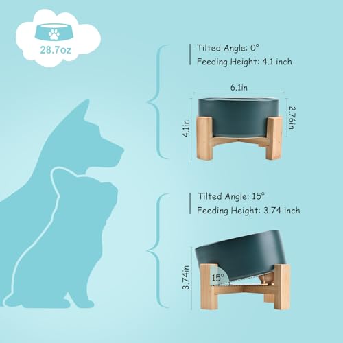 SPUNKYJUNKY 15° Slanted Ceramic Dog and Cat Bowl with Wooden Stand, Tilted Bulldog Food and Water Bowl No Slip Non-Spill for Cats Medium Dogs Big Face Pets 28.7 OZ (3.6 Cups, Green) - color: Green, size: 3.6 CUPS × 1