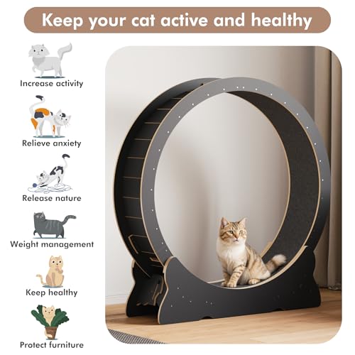 Mondeer 46'' Cat Wheel with Carpet Track and Teaser, Black | Cat Exercise Wheel, 46'' XL Treadmill with Carpeted Runway, Removable Carpet and Teaser, for Indoor Cats Running and Walking. - color: Black, size: 43.3