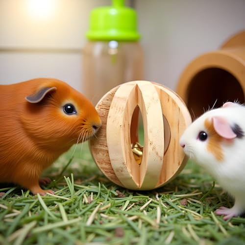 2Pcs Wood Color Natural Wood Dumbells Unicycle Bell Roller Pet Chew Toy for Guinea Pigs Rat Rabbits,Guinea Pig Toys Boredom,Small Animals Will be Very Happy Toys(No Bark Watermelon Ball)