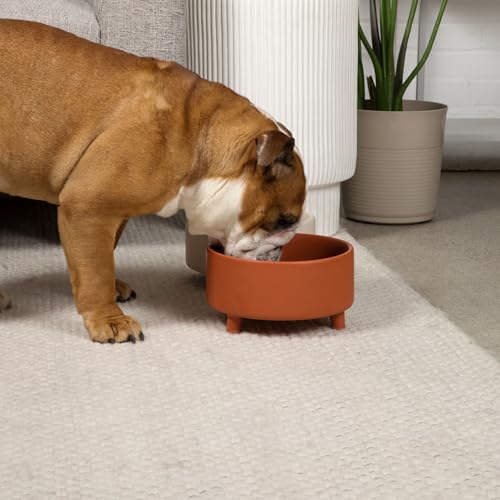 Waggo Uplift Ceramic Dog Bowl for Small Medium and Large Breeds - Heavyweight and Durable Pet Food and Water Dish Crock, Dishwasher Safe, Modern, Elevated Feeder (Olive, Small) - color: Olive, size: Small