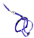 PetSafe Come with Me Kitty Harness and Bungee Cat Leash, Lilac, Small | Adjustable 2-Point Fit Applies Gentle Pressure to Shoulders, Not Neck, for Kittens and Small Cats with 9 in - 11 in Girth - color: Lilac/Deep Purple, size: Small (Pack of 1)