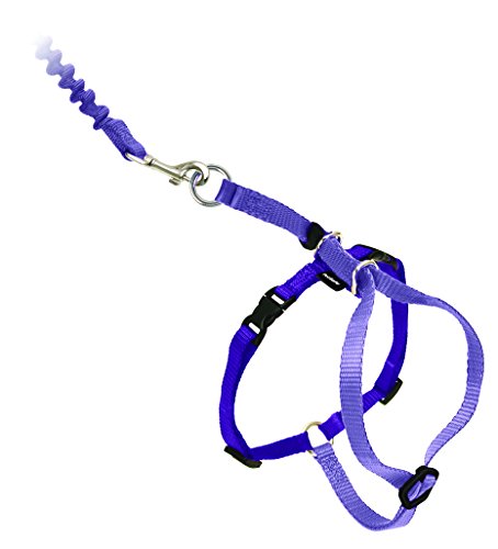 PetSafe Come with Me Kitty Harness and Bungee Cat Leash, Lilac, Small | Adjustable 2-Point Fit Applies Gentle Pressure to Shoulders, Not Neck, for Kittens and Small Cats with 9 in - 11 in Girth - color: Lilac/Deep Purple, size: Small (Pack of 1)