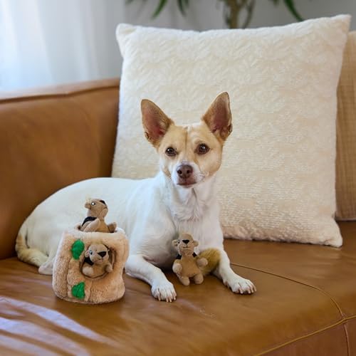 Outward Hound Squeakin’ Squirrels – 3‑Pack Plush Squeaky Dog Toys for Puppies, Small Dogs & Hide-A-Squirrel Replacements - color: Squirrels (3-pack)