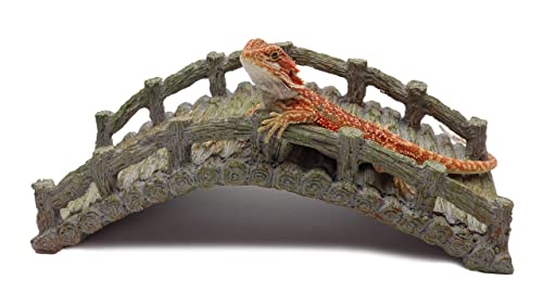Reptile Bridge, Driftwood Gray, Reptile Habitat Accessory