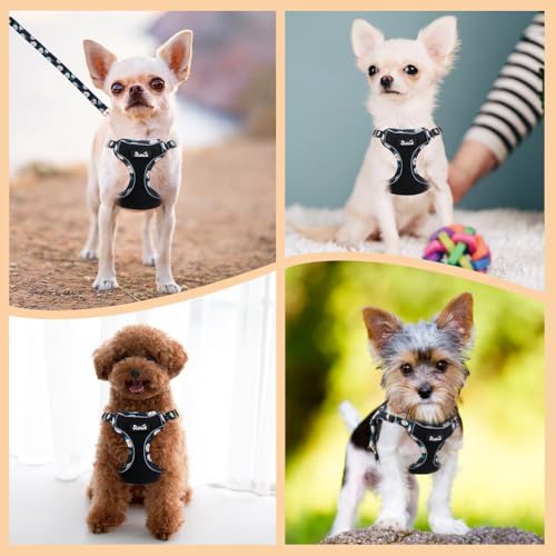 Lukovee Puppy Harness and Leash Set, No Pull Step in Lightweight Mesh Vest | Soft, Reflective, Easy Put on and off, Adjustable, Breathable Air Mesh, with 51in Leash for Walking Hiking (Black, S) - color: Black, size: Small (9-17.5 lb)