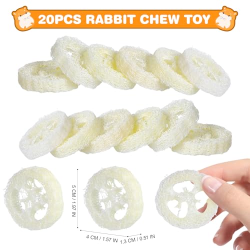 Toddmomy Rabbit Chew Toys 20pcs Loofah Teeth Grinding Toys Small Animal Tooth Cleaning Tools for Guinea Pig Chinchilla Hamster