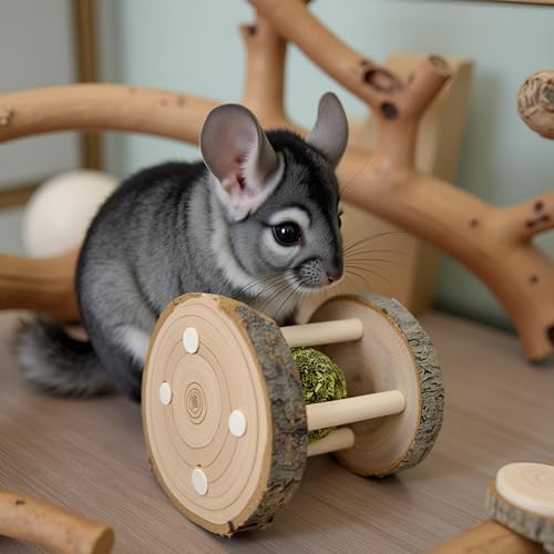 Hamster Rabbit Chew Toy Natural Wooden Play Toy, Wood Teeth Grinding Toy with Bell for Parrot, Rabbit, Chinchilla, Guinea Pig, Hamster Small Animals Toys for Pet Supplies