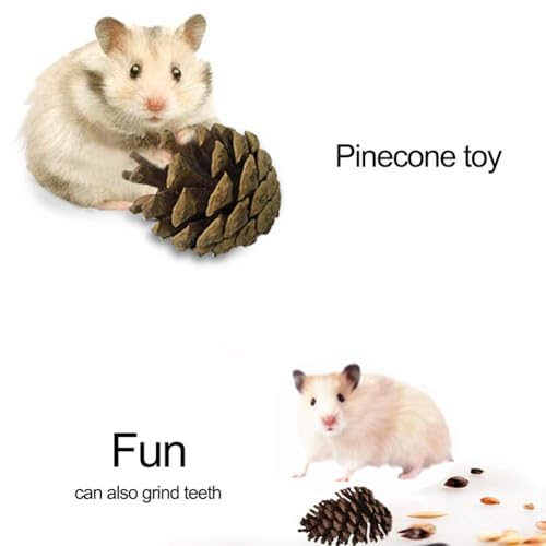 Leeko Pet Hammock Hamster Hanging Toy, 5 Piece Set House Hanging Bed Cage Toys for Small Animal Sugar Glider Squirrel Chinchilla Hamster Rat Playing Sleeping - size: 5 Pieces