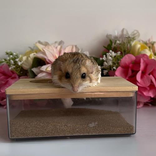 Exotic Nutrition Acrylic Sand Bath House - Fun & Unique Cage Accessory for Hamsters, Gerbils, Chinchillas, and Degus (Small) - size: Small