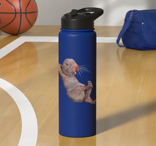 I Just Really Like Naked Moles Ok? Funny Naked Mole Rat Stainless Steel Insulated Water Bottle - color: Royal Blue