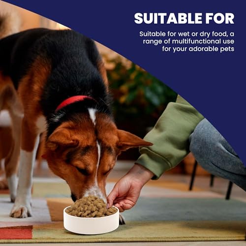SPOT Ceramic Stoneware- Pet Bowl for Medium and Large Dogs, Classic Heavy Duty Non-Slip Ceramic Bowl for Food and Water - 7.5in Diameter - size: 7.5"