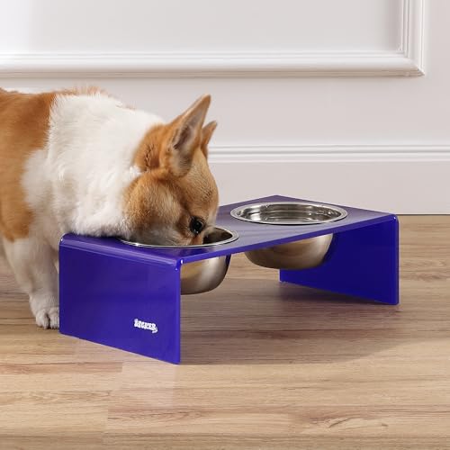 DBL2000F Keaton 5" Small/Medium Modern Acrylic Rectangular Elevated Pet Feeder with 20oz 2-Stainless Steel Bowls, Purple/Chrome - color: Purple/Chrome, size: 20 Ounces (5" Cups 2-Pack)