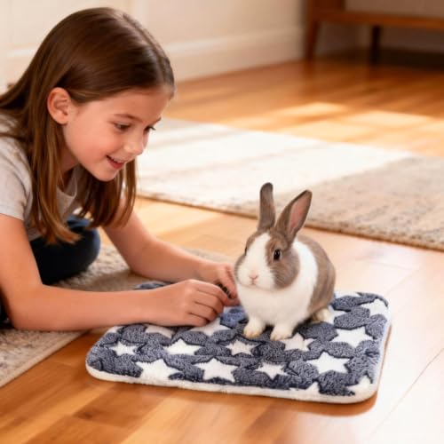 2 Pcs Bunny Bed, Washable Rabbit Bed, Double-Sided Fleece Sleeping Pad for Guinea Pig, Dwarf Rabbit, Chinchilla, Ferret, Hamster, Warm Small Animal Cage Mat, 13x10in, Gray Star - color: Gray Star