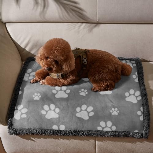 Kritter Planet Waterproof Reversible Pet Blanket for Small Dogs | 20 x 30 Inch, Washable Pet Protector for Crates, Pet Beds and Car Seats, Guards Against Fur, Dirt and Everyday Spills - color: Paw Print, size: 30"x25"