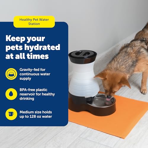 PetSafe Healthy Pet Water Station, 128 oz, Stainless Steel Bowl, Medium | Gravity-Fed Pet Water Fountain Keeps Cats or Small Dogs Hydrated, Stainless Steel Bowl Is Dishwasher Safe - size: Medium