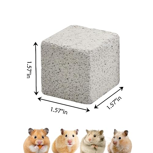PINVNBY 20 Pcs Lava Blocks for Rabbits,Chinchillas Lava Block Hamster Mineral Stone Small Animals Square Calcium Stones Teeth Pumice Grinding Chews Toy for Bunny Hamsters Chinchilla Guinea Pig - size: 【20 PCS】