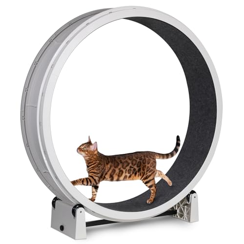 One Fast Cat - Cat Exercise Wheel - Made in the USA - 48" Diameter - Gen. 7 | White with Black Felt Traction Pads and Solid Black Inline Wheels - color: White Wheel / Black Felt / Solid Black Inline