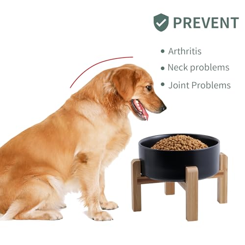 Black Raised/Elevated Ceramic Dog Bowl for Small Medium Sized Breeds,Dog Food Water Bowl with Stand,6 in Non Slip Heavy Pet Feeding Dish 3.6 Cups/ 850 ml /28 OZ - color: Black, size: 6 in