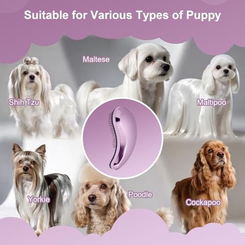 Small Dog Brush, Skin-friendly Soft Bristles (Electroplating Purple) - color: Electroplating Purple